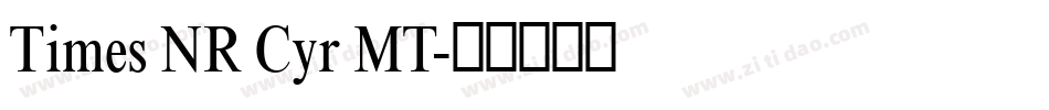 Times NR Cyr MT字体转换